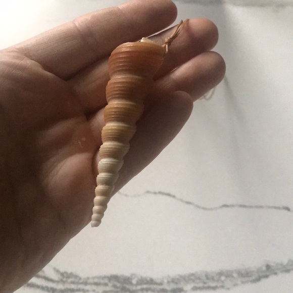 Large Shell necklace - Picture 2 of 2